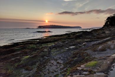 Sandee Saturna Island Photo