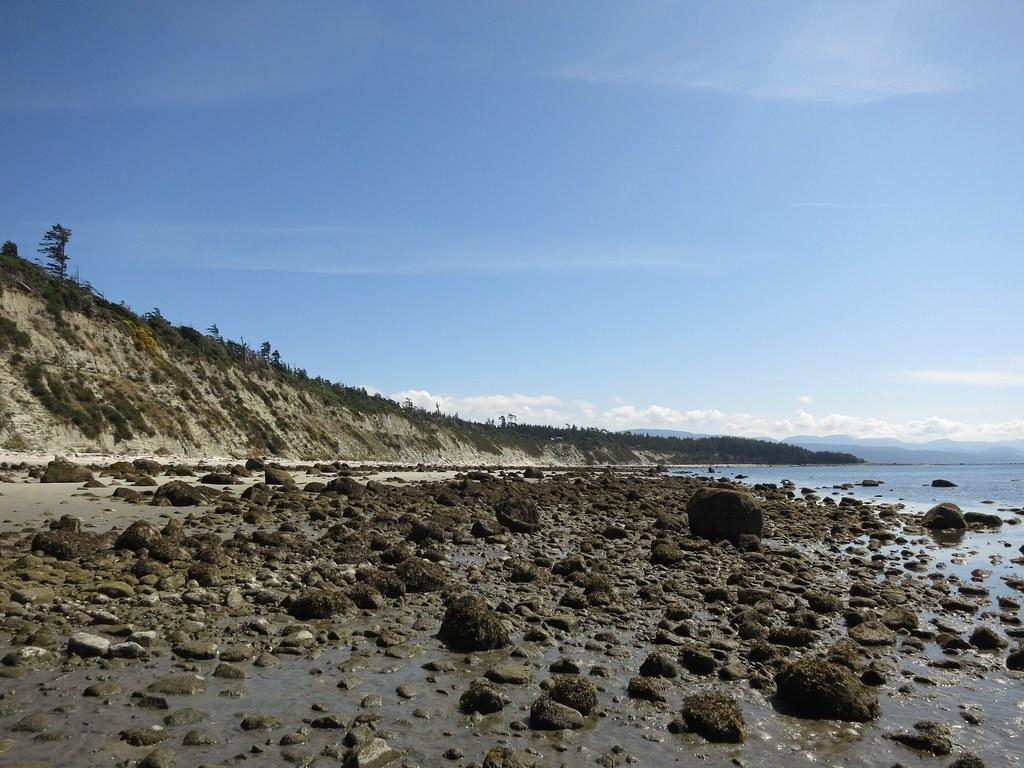 Sandee - Savary Island