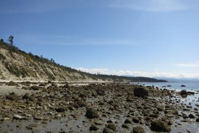 Sandee - Savary Island