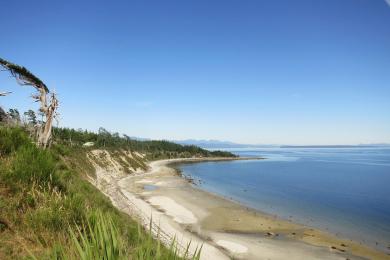 Sandee Savary Island