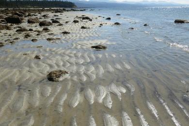 Sandee - Savary Island