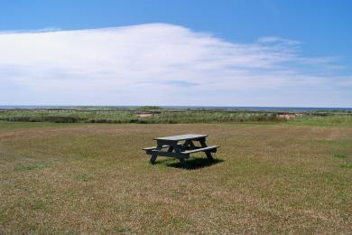 Sandee Cedar Dunes Provincial Park