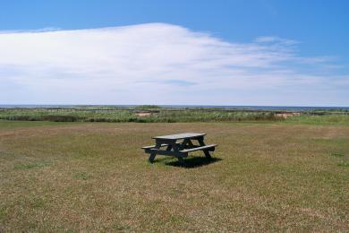 Sandee Cedar Dunes Provincial Park Photo