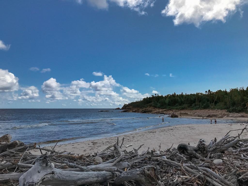 Sandee - HomePage / Cape Breton Highlands National Park