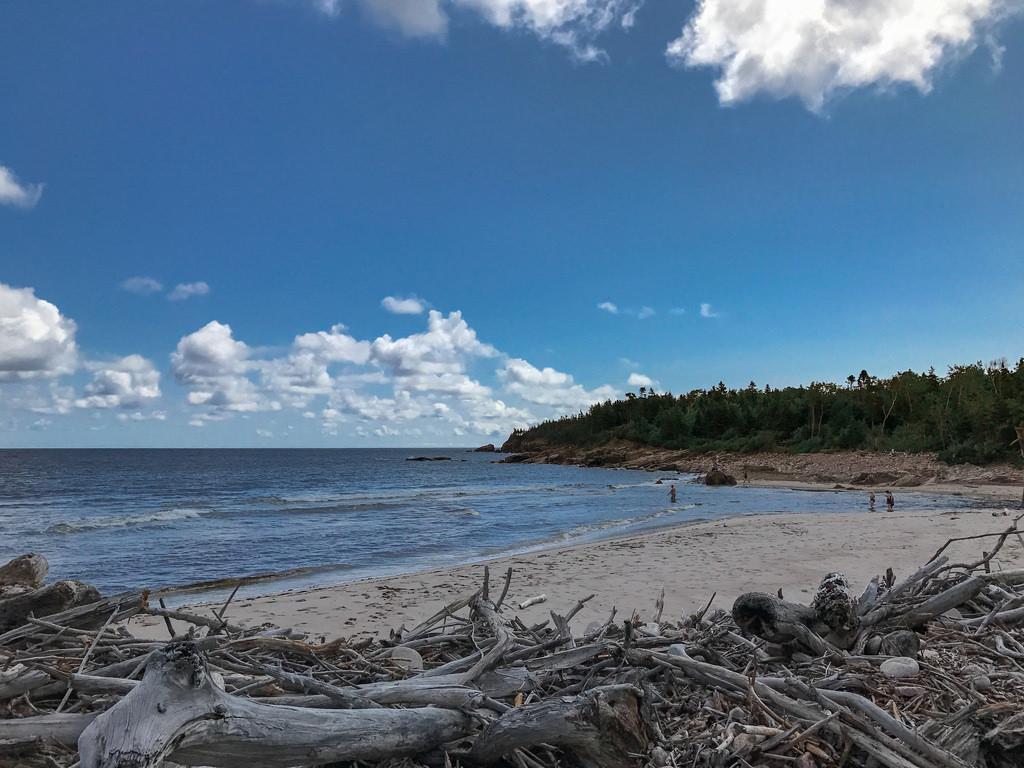 Sandee - Black Brook Beach