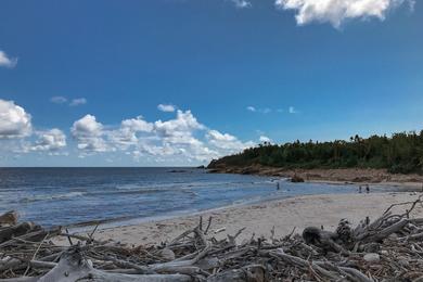 Sandee Black Brook Beach