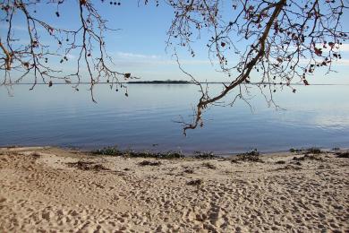 Sandee Playa Sere
