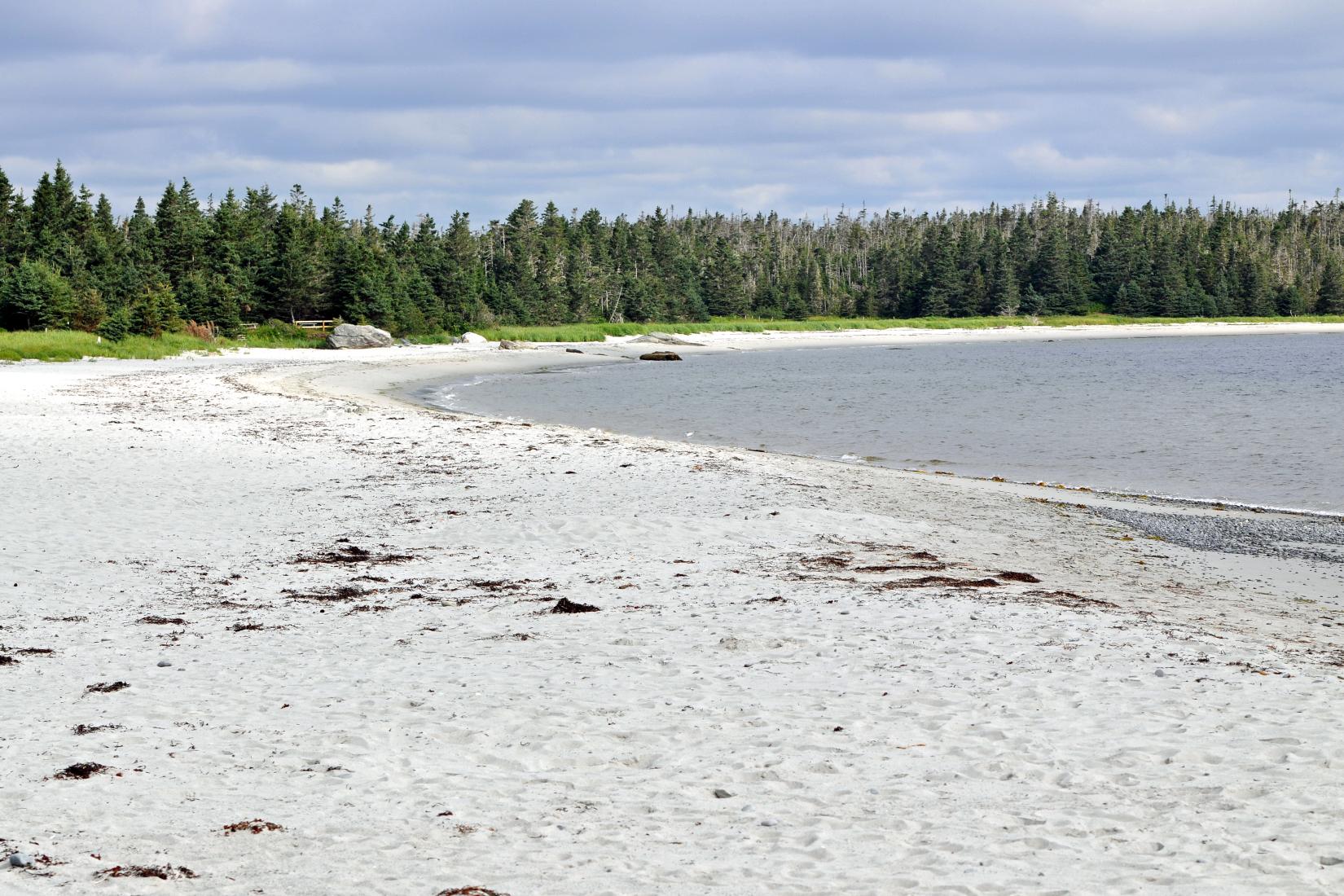 Sandee - Taylors Head Beach