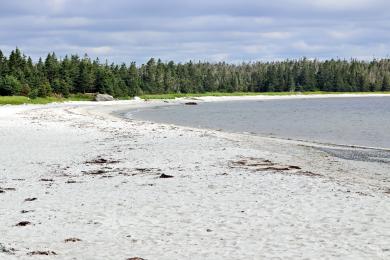 Sandee Taylors Head Beach