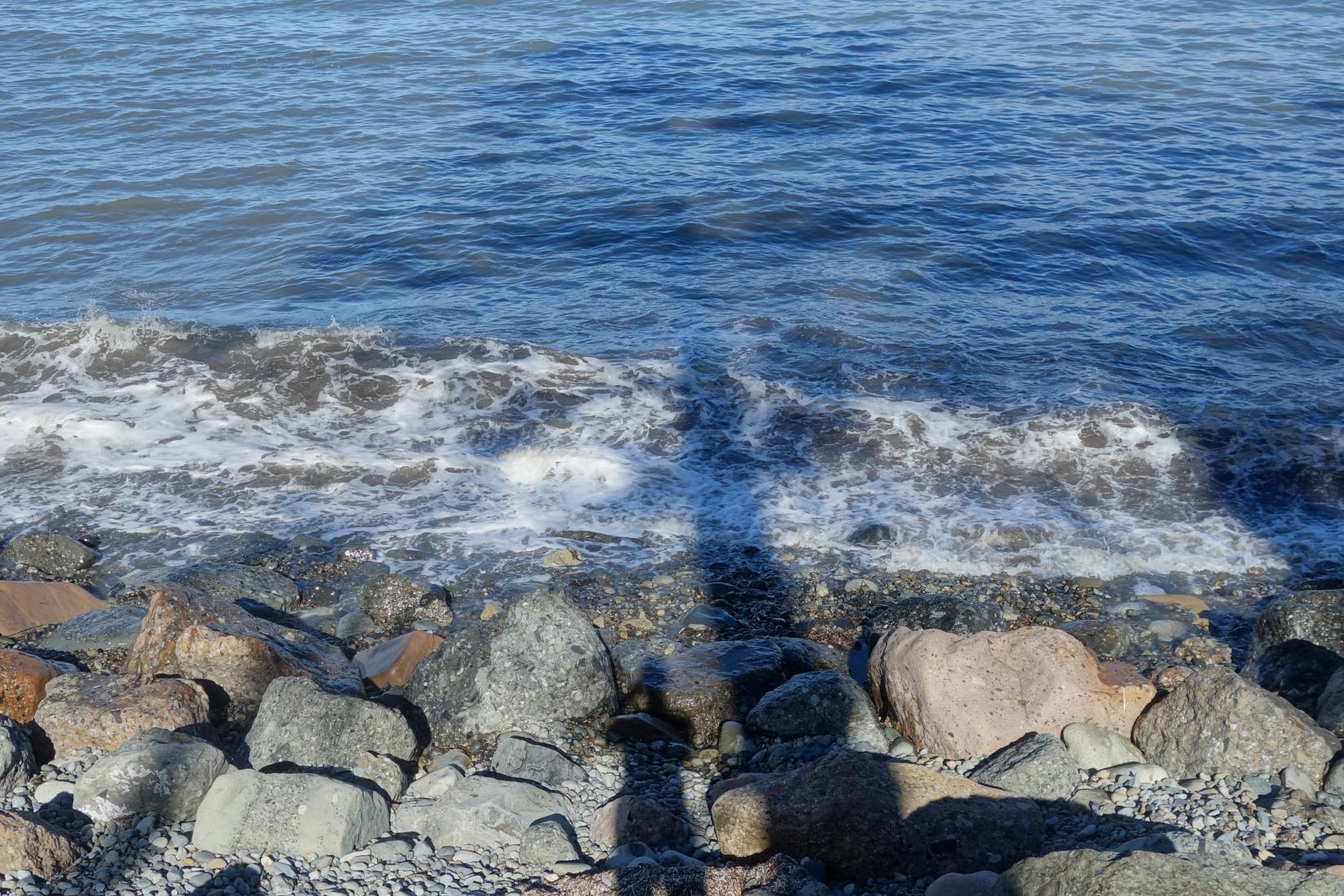 Sandee - Haida Gwaii Beach