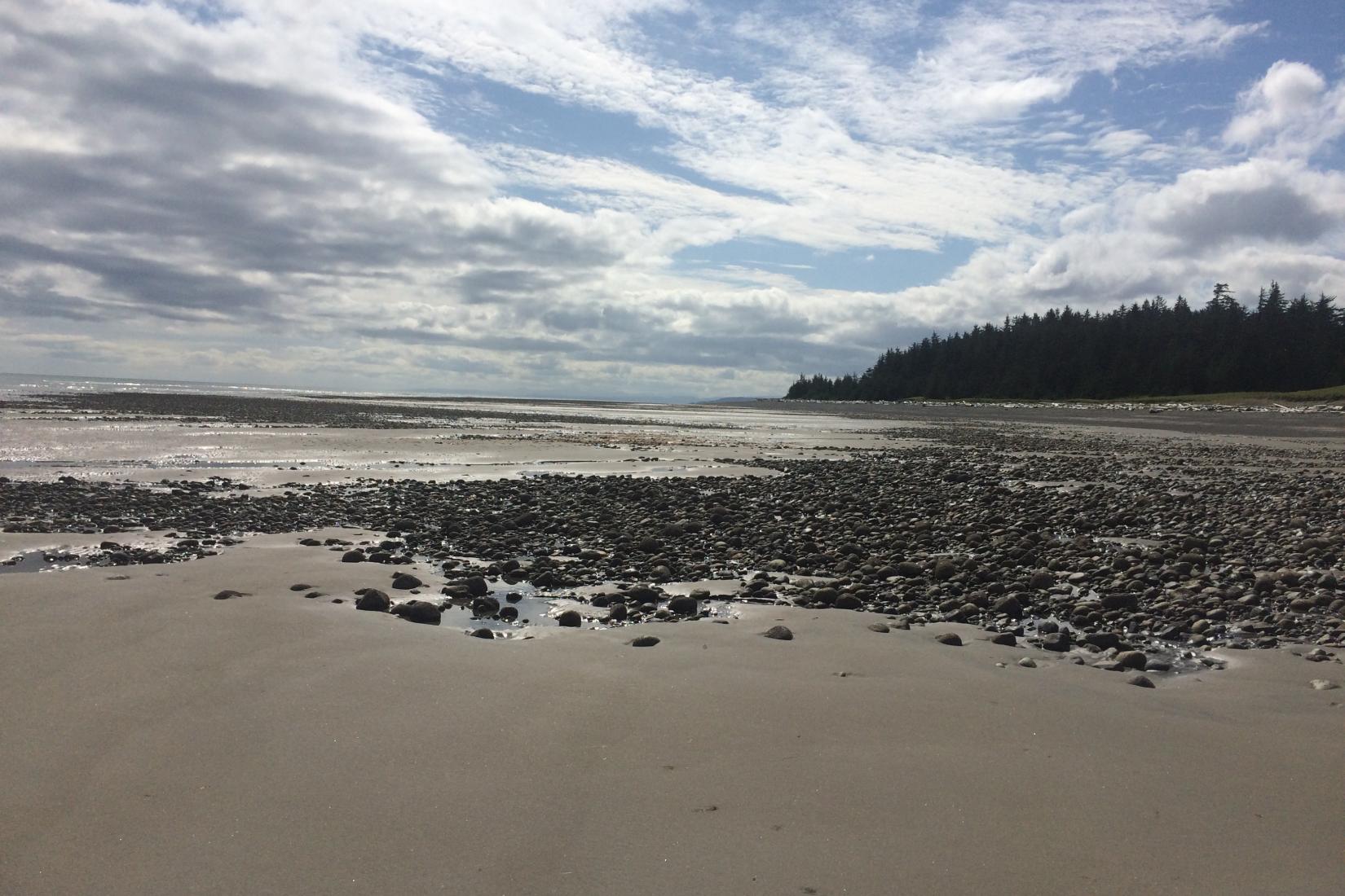 Sandee - Haida Gwaii Beach