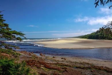 Sandee Haida Gwaii Beach