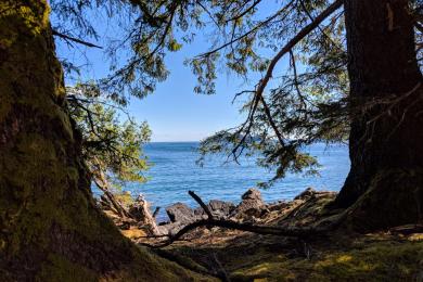 Sandee - Haida Gwaii Beach