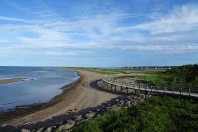 Sandee La Dune De Bouctouche Photo