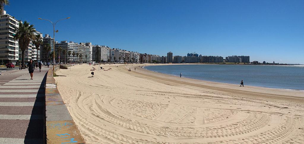 Sandee Playa De Los Pocitos