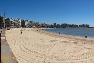 Sandee Playa De Los Pocitos
