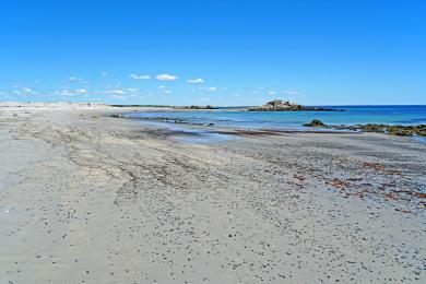 Sandee Hawk Beach