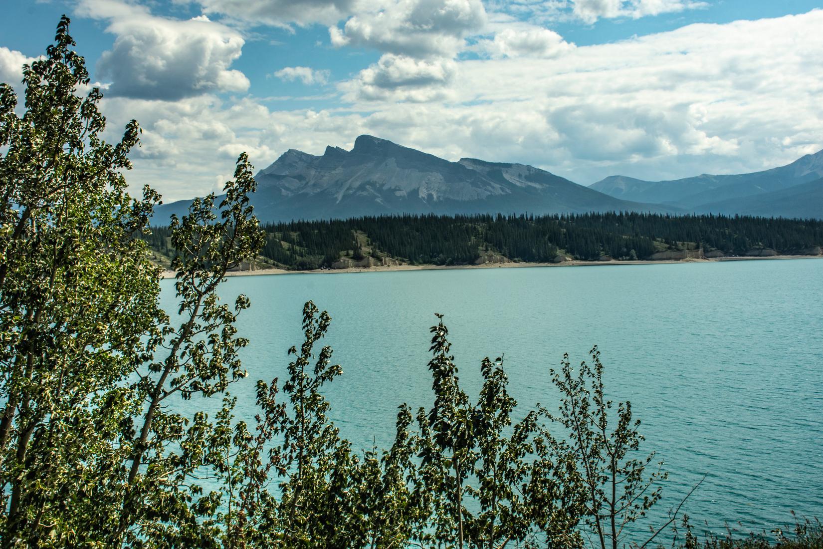 Sandee - Abraham Lake