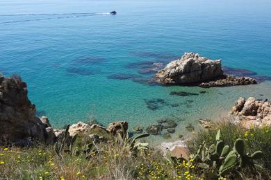 Sandee Beach Roca Grossa