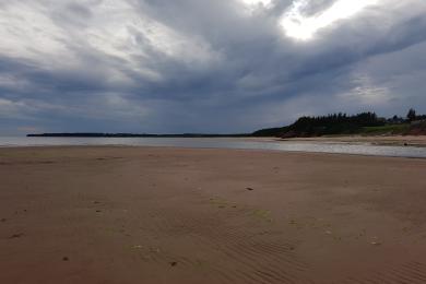Sandee Red Point Provincial Park