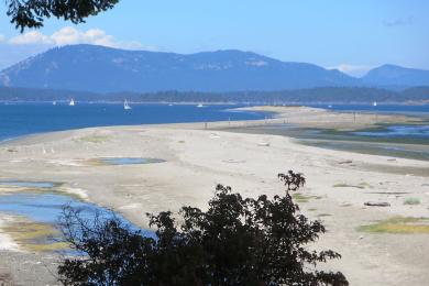 Sandee Salt Spring Island Beaches Photo