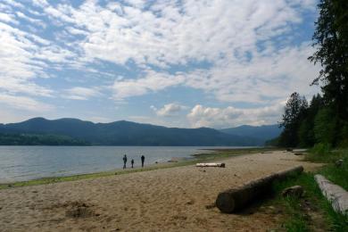 Sandee Davis Bay Beach