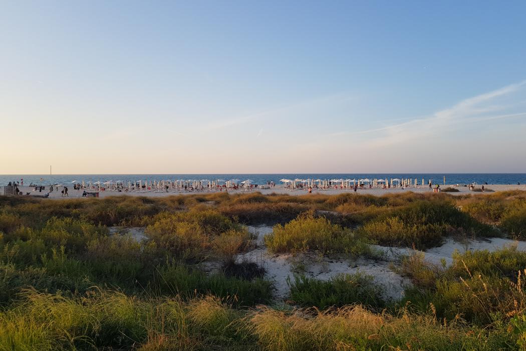 Sandee Saadiyat Public Beach