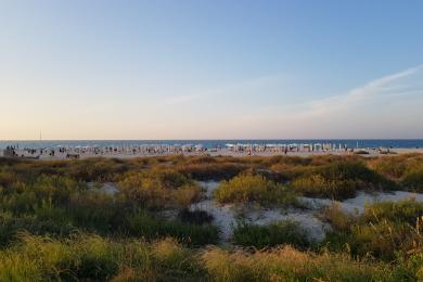 Sandee Saadiyat Public Beach