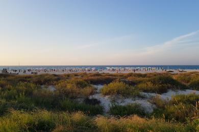 Sandee Saadiyat Public Beach Photo