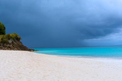 Sandee Darkwood Beach Photo