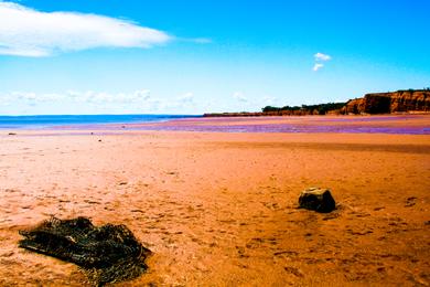 Sandee Blomidon Beach Photo