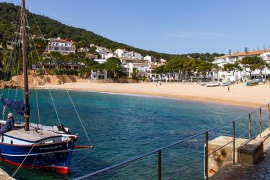 Sandee Platja De Tamariu