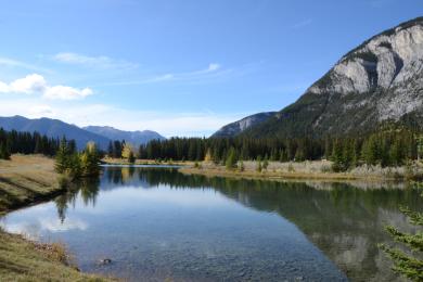 Sandee - Cascade Ponds