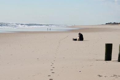 Sandee Southampton Beach Photo