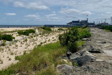 Sandee - Anchorage Beach