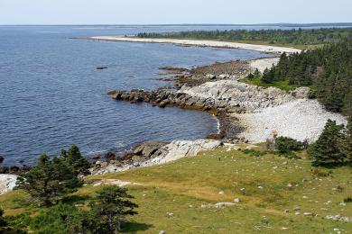 Sandee Roseway Beach