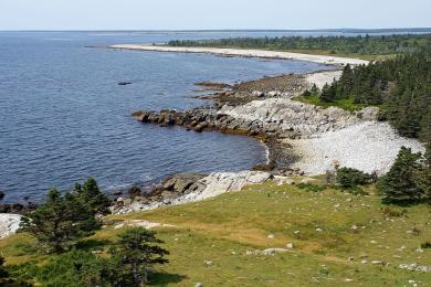 Sandee Roseway Beach Photo