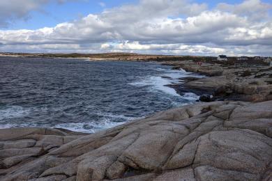 Sandee Peggy's Cove