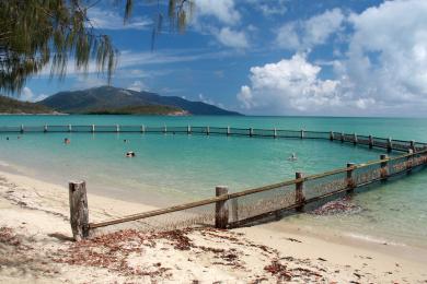 Sandee Dingo Beach Photo