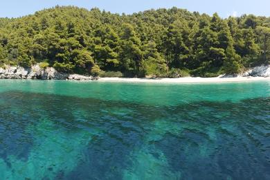 Sandee Beach Kastanija