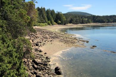 Sandee Thomson Park Saturna Beach