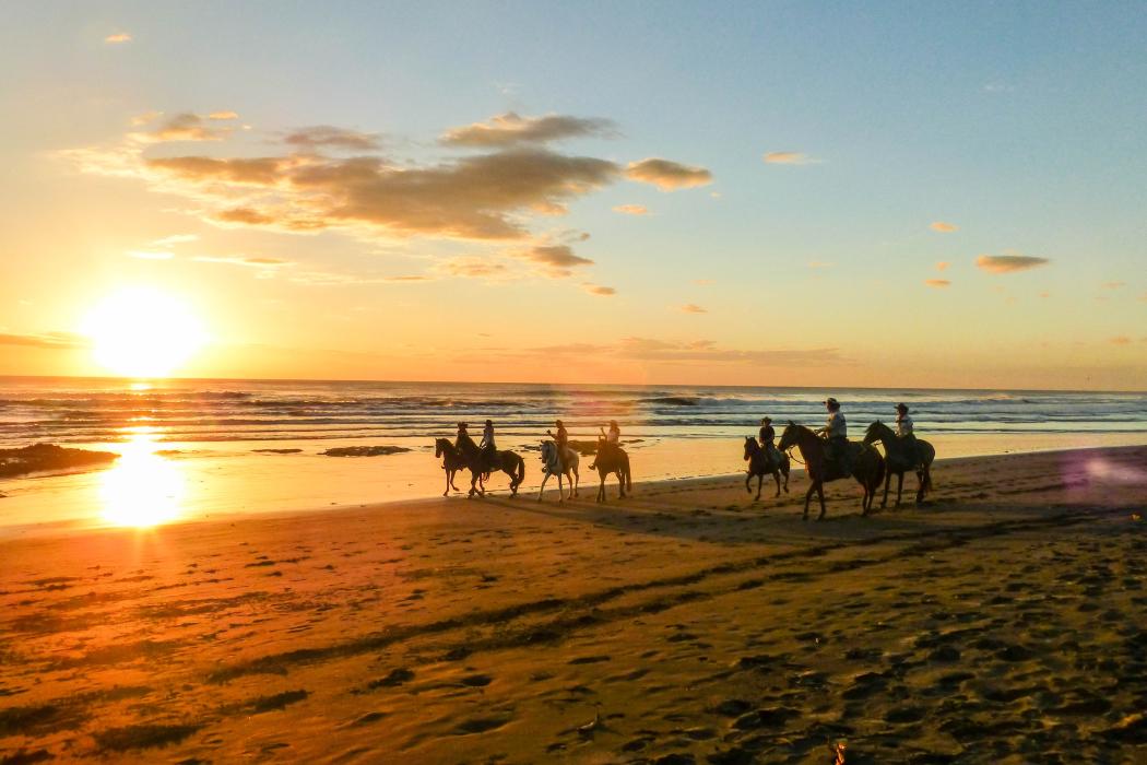 Sandee Playa Ostional