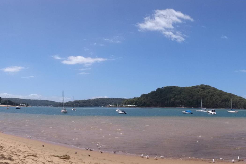 Sandee Ettalong Beach