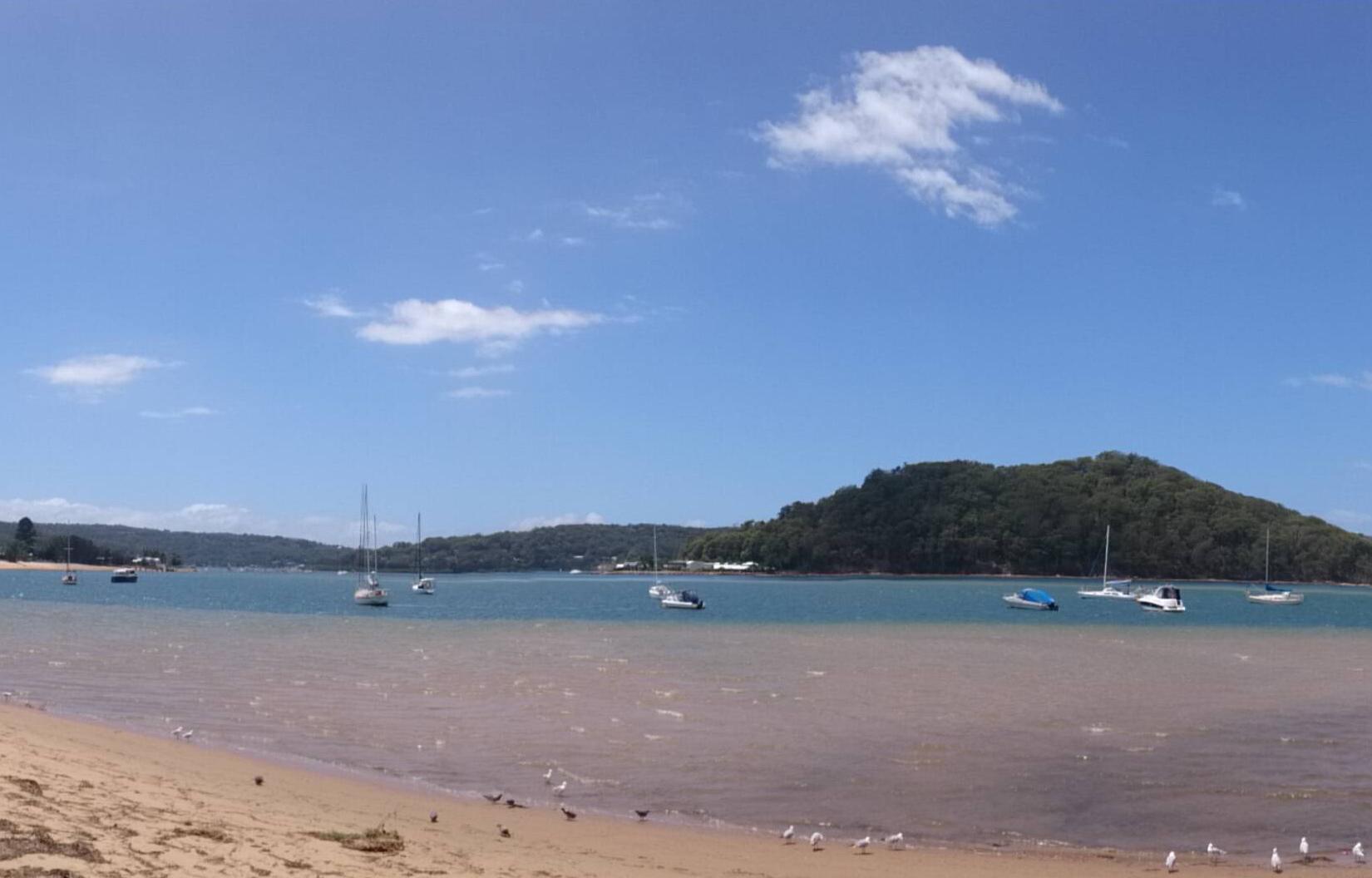 Sandee - Ettalong Beach