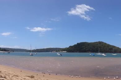 Sandee Ettalong Beach