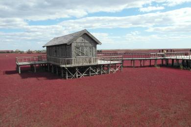 Sandee Red Beach Photo