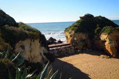 Sandee - Praia Dos Alemaes