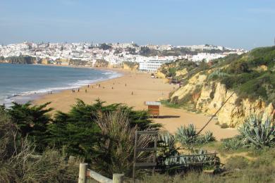 Sandee - Praia Dos Alemaes