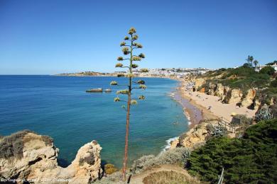 Sandee Praia Dos Alemaes Photo