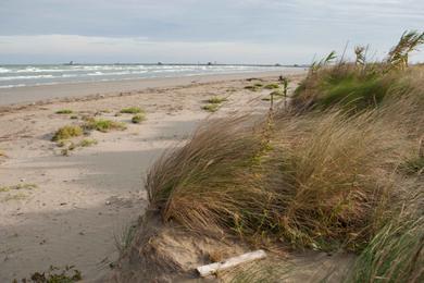 Sandee - Alberoni Beach